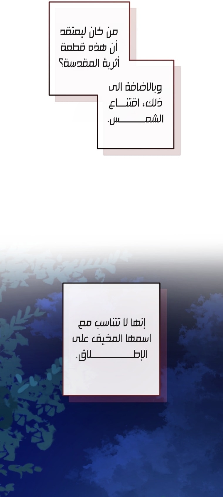 الصفحة 13