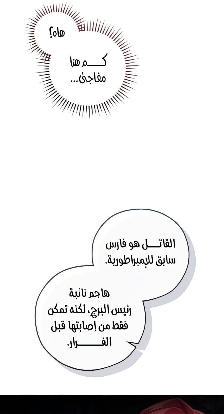 الصفحة 24
