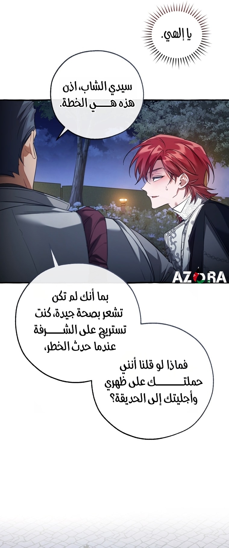 الصفحة 27