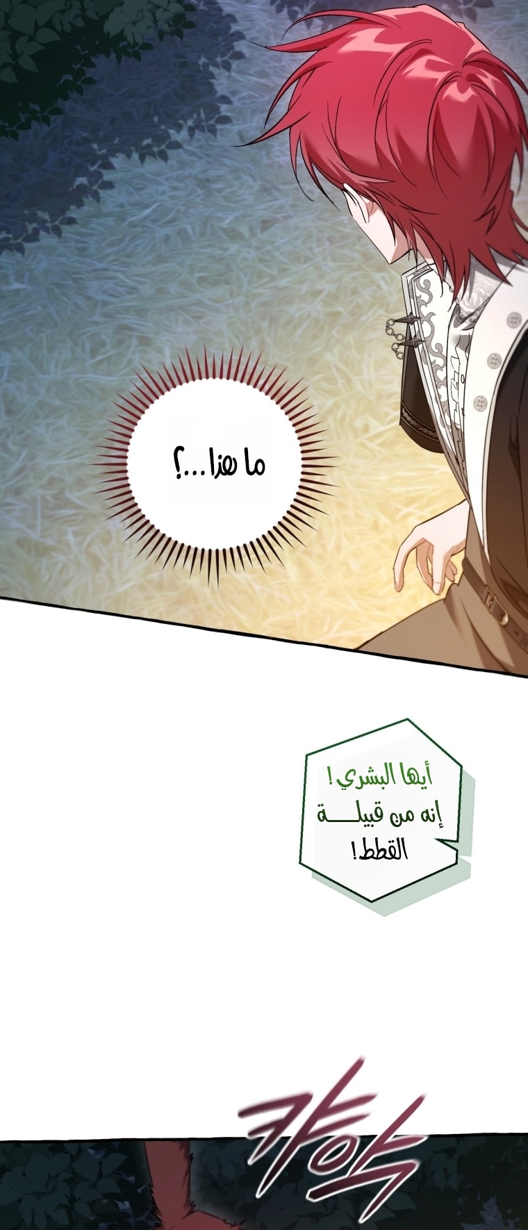 الصفحة 31