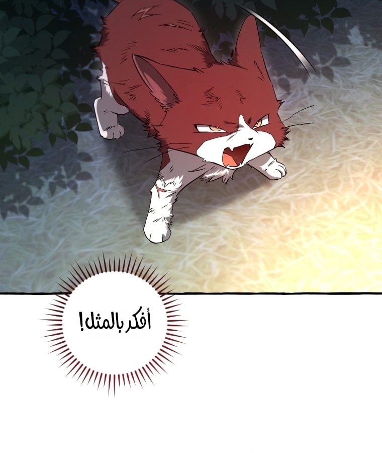 الصفحة 32