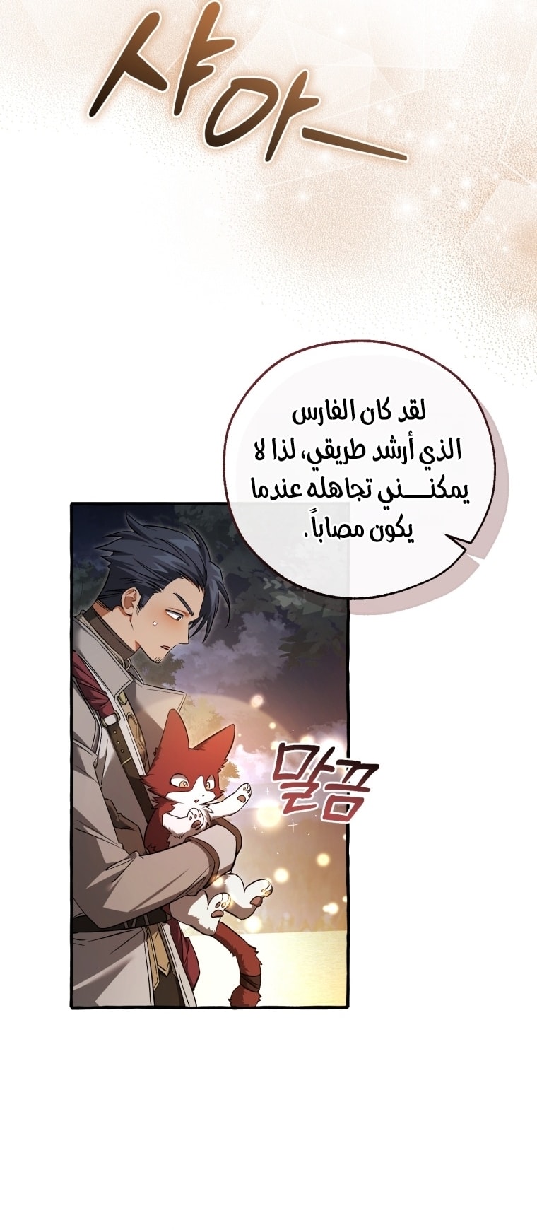الصفحة 41