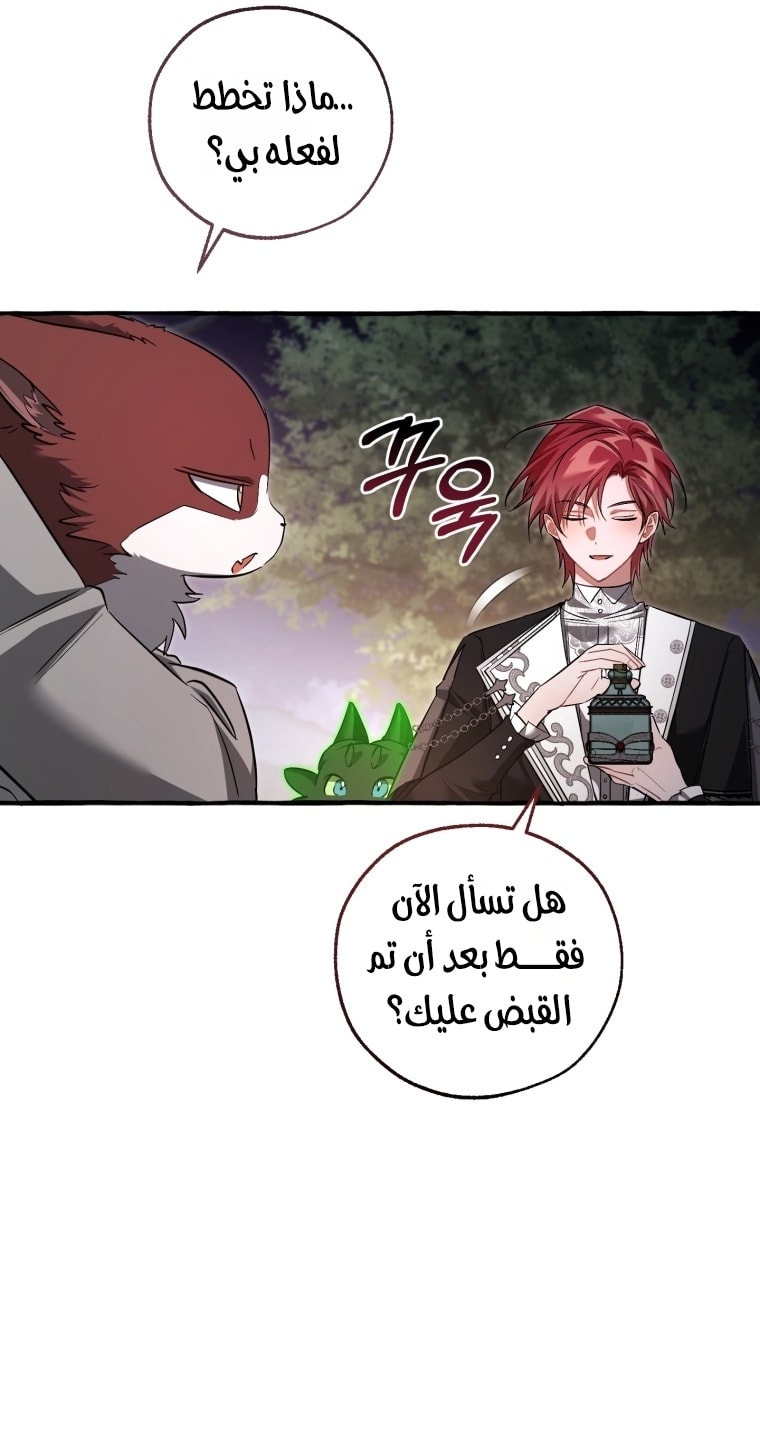 الصفحة 42