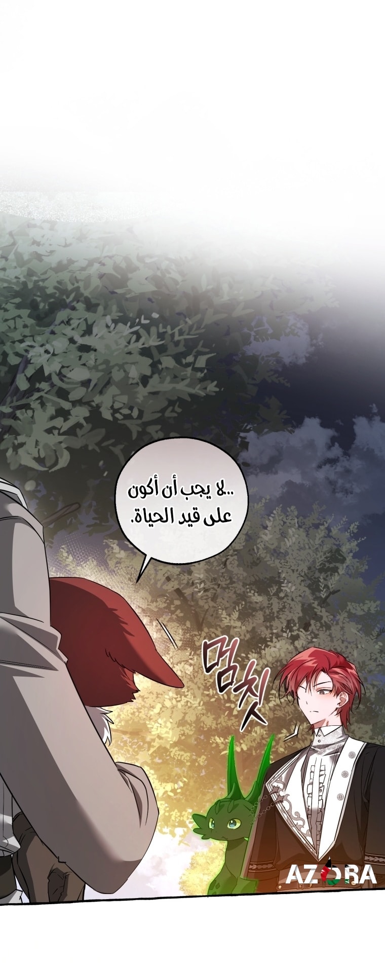 الصفحة 45