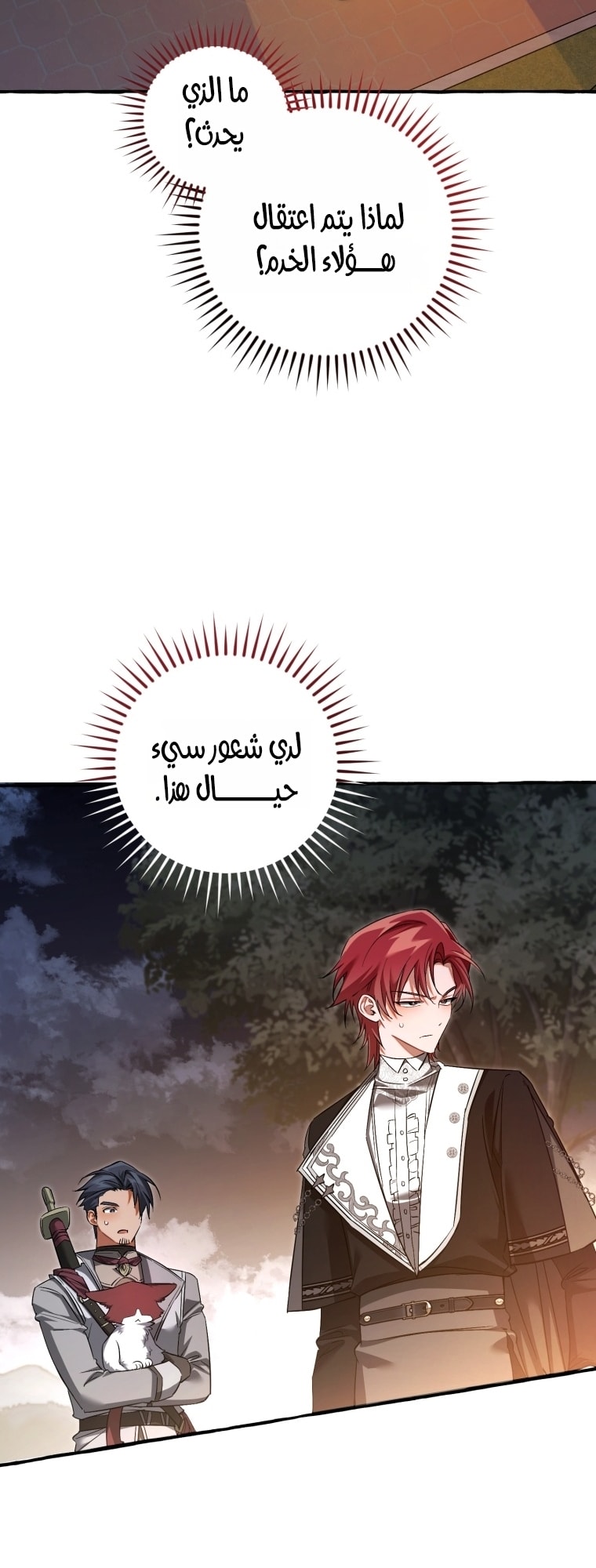 الصفحة 47