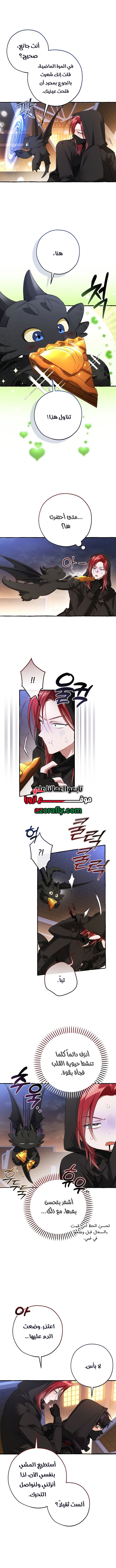 الصفحة 11
