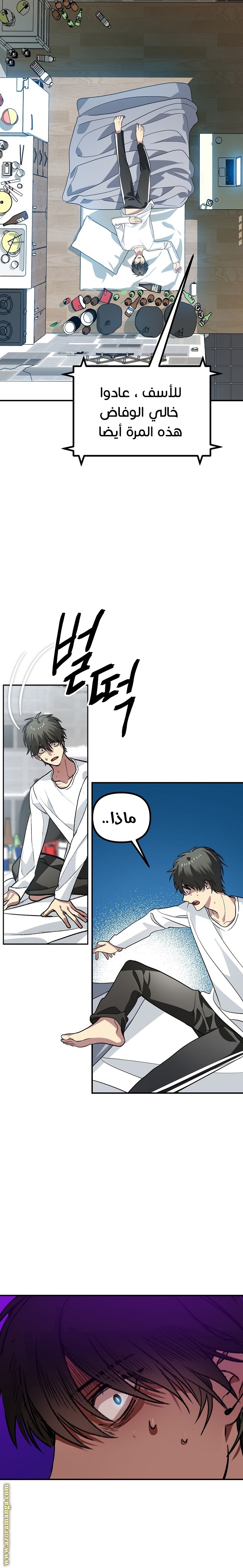 الصفحة 17