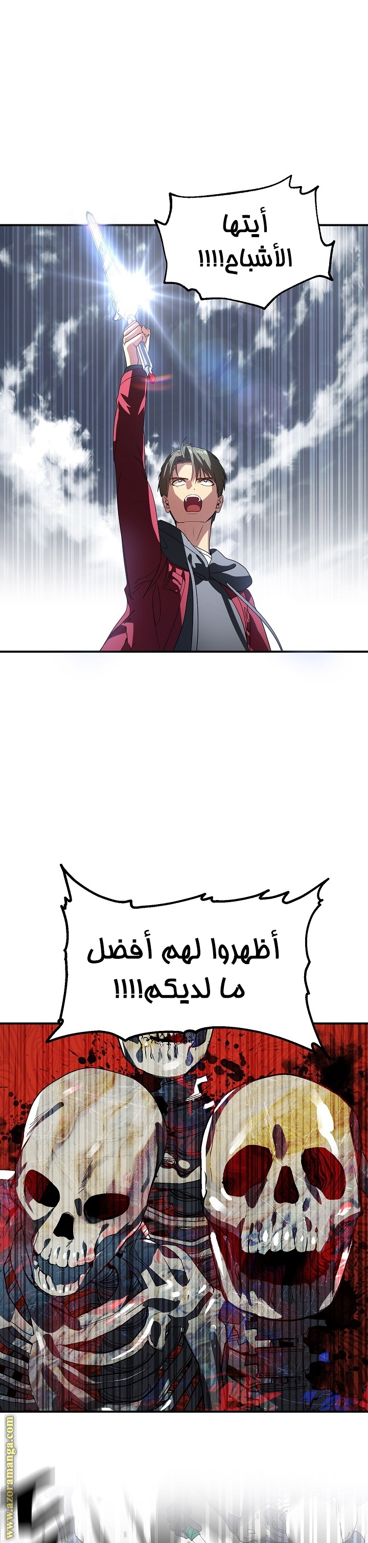 الصفحة 17