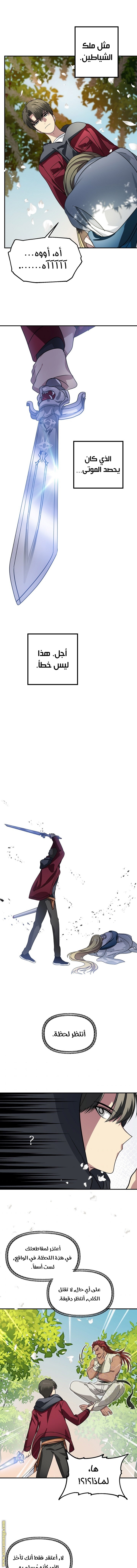 الصفحة 13