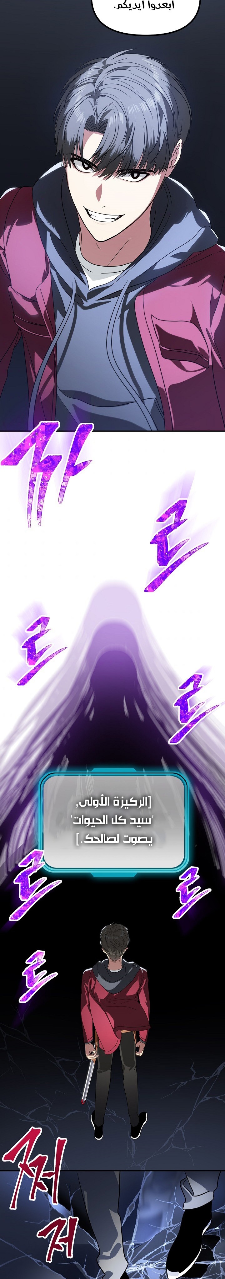 الصفحة 12