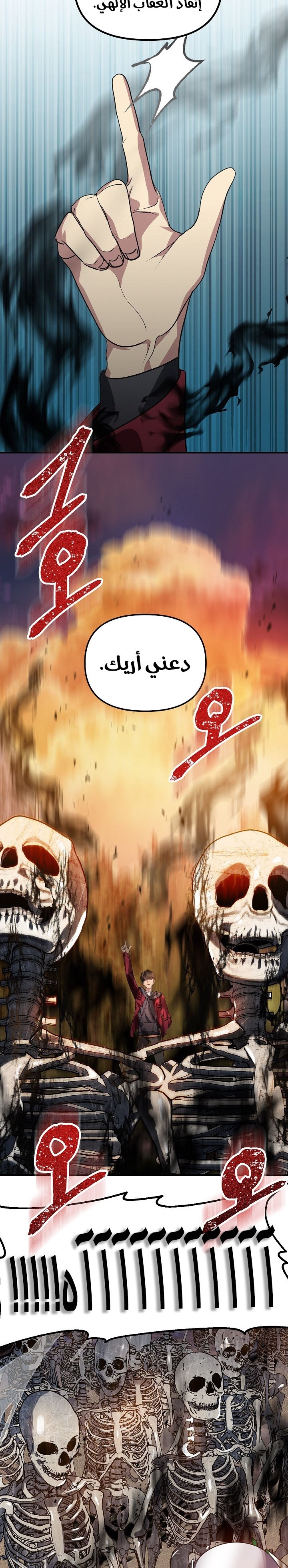 الصفحة 16