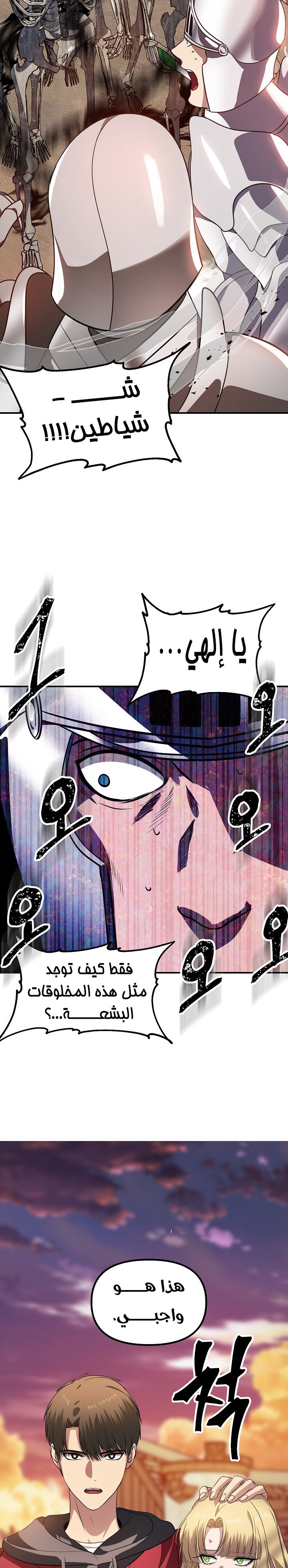 الصفحة 17