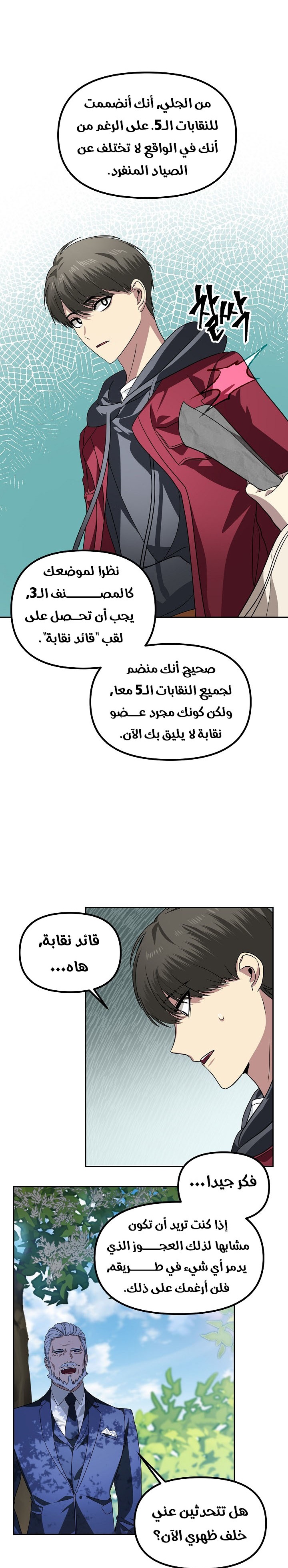 الصفحة 17