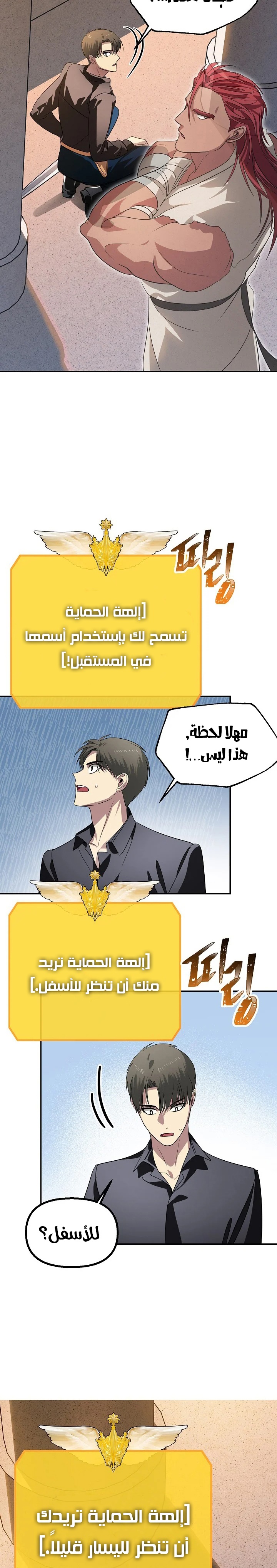 الصفحة 43