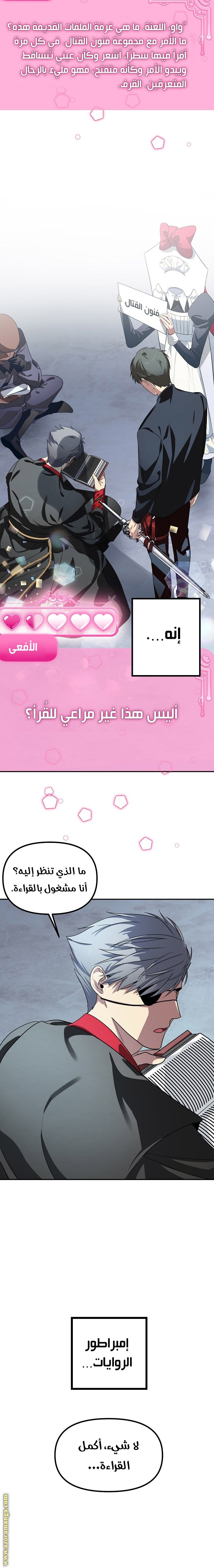 الصفحة 17