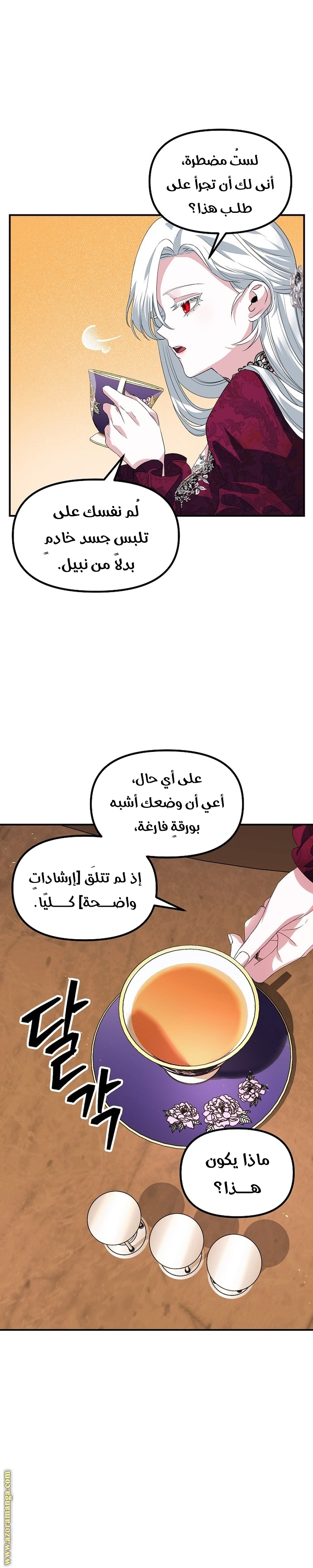 الصفحة 16