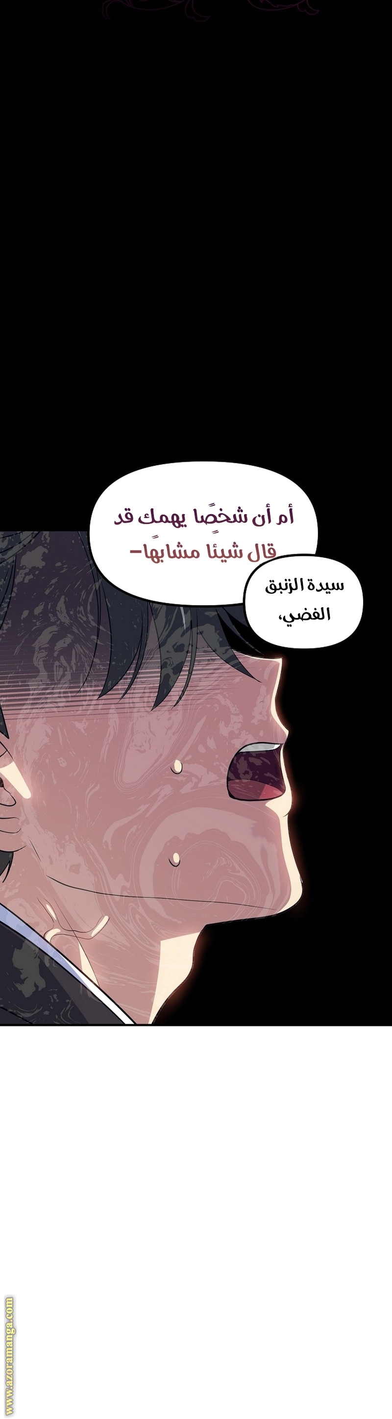 الصفحة 25
