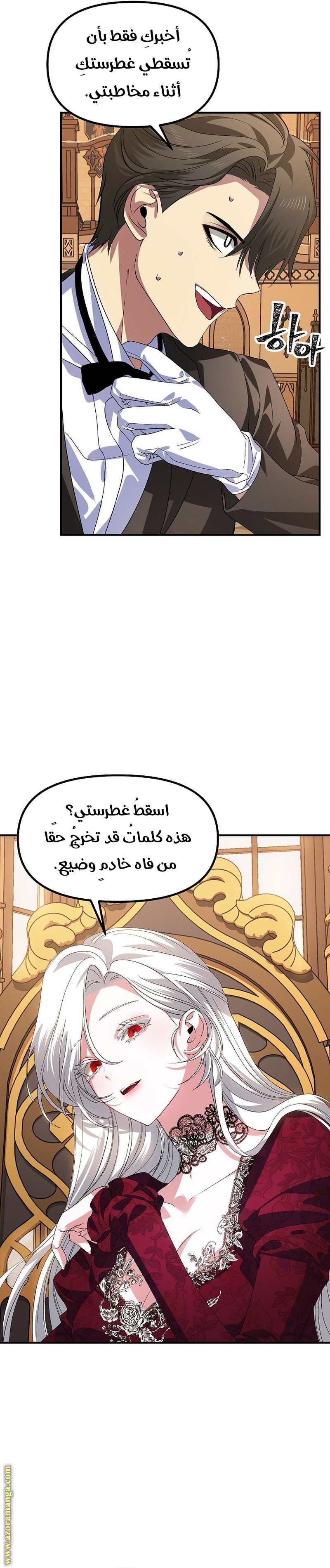 الصفحة 27