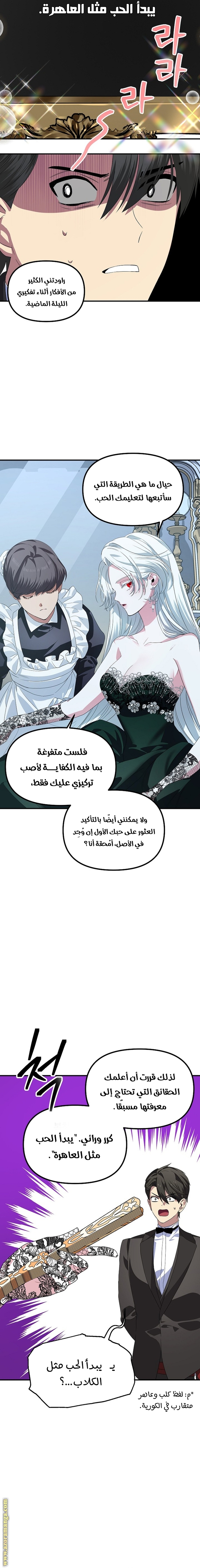 الصفحة 5