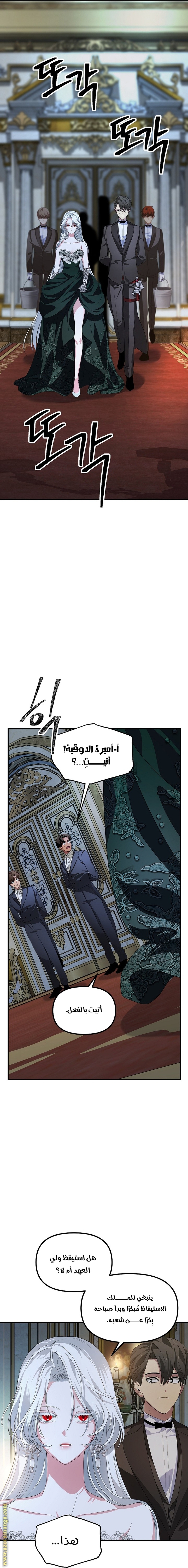 الصفحة 11