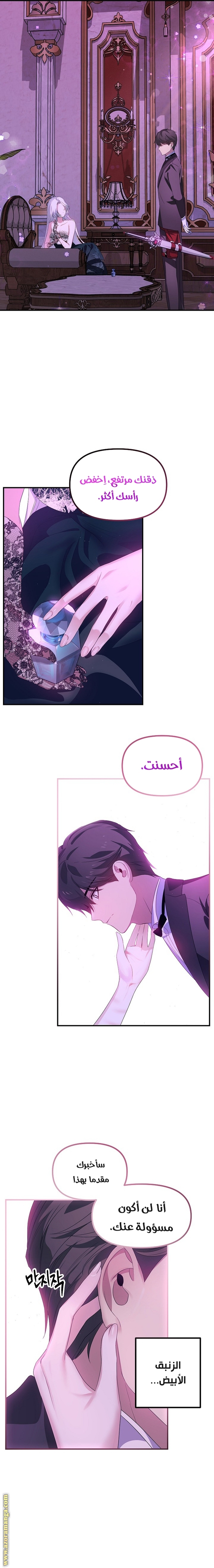 الصفحة 24