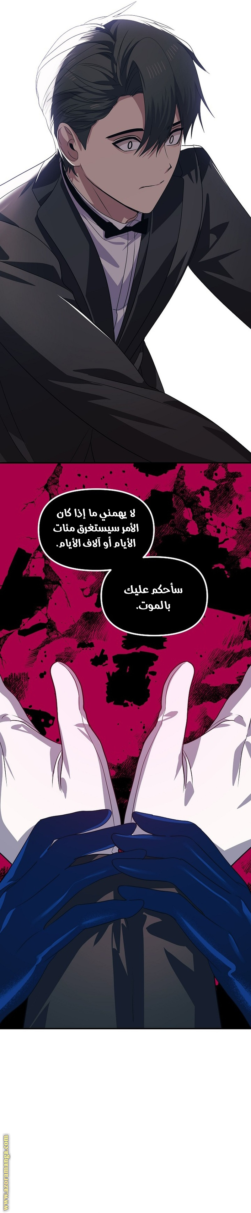 الصفحة 17