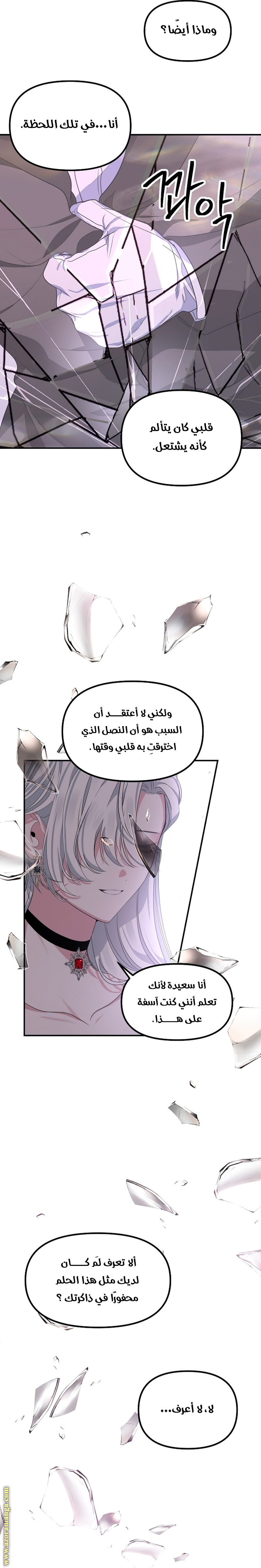 الصفحة 20