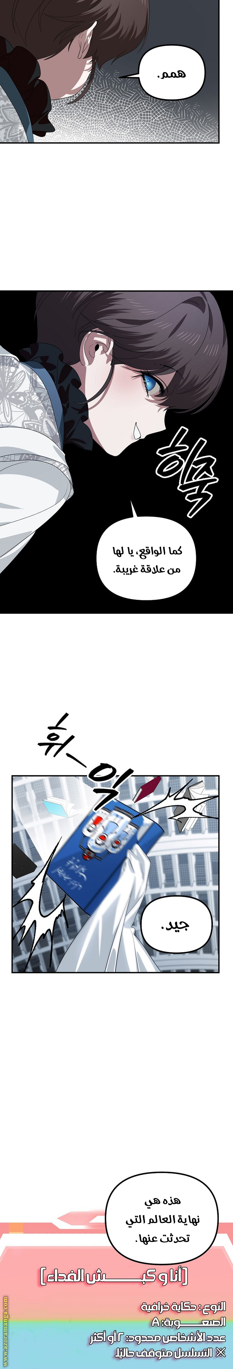 الصفحة 12