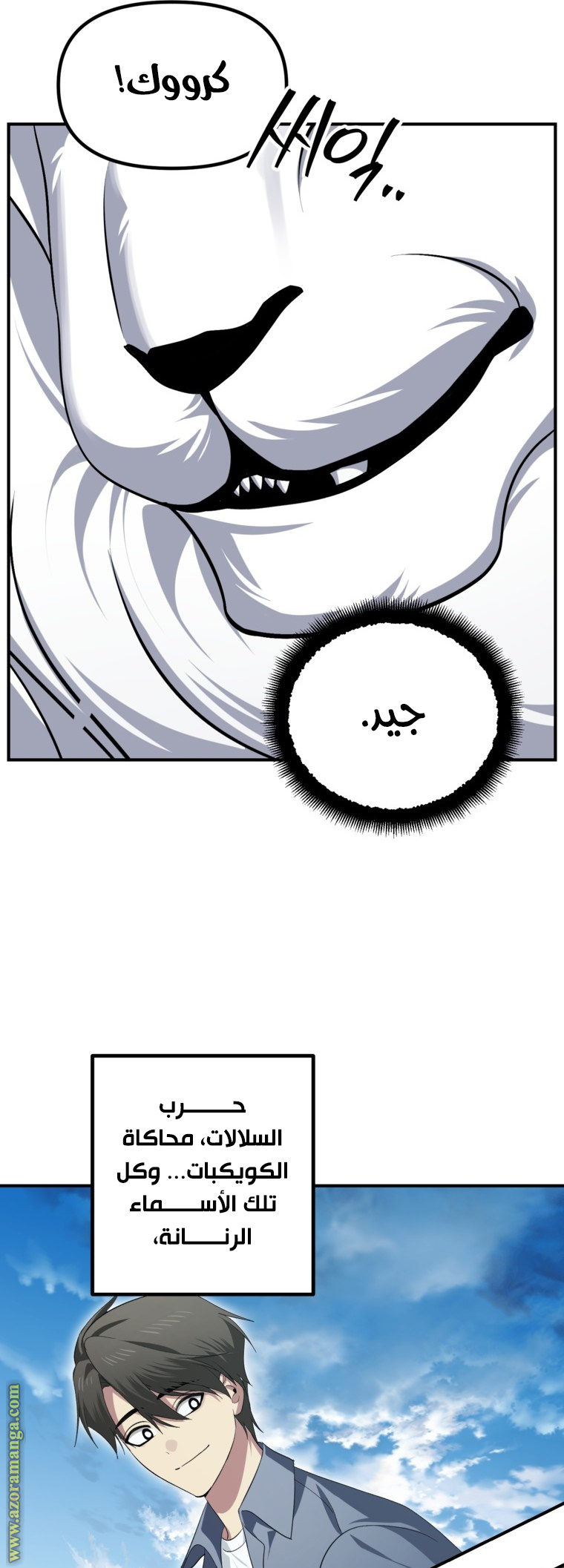 الصفحة 43