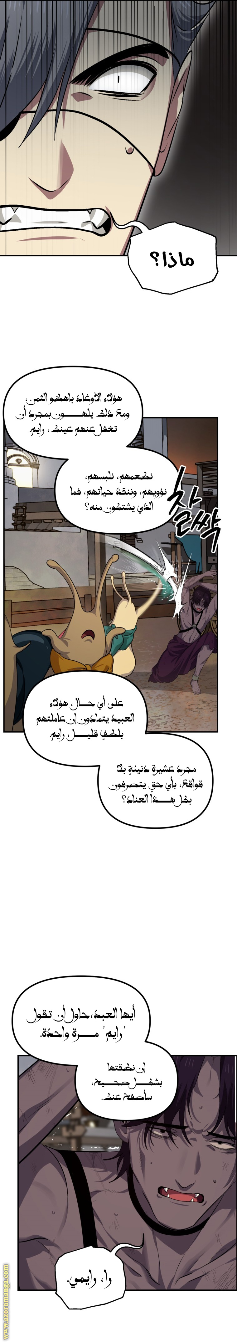 الصفحة 19