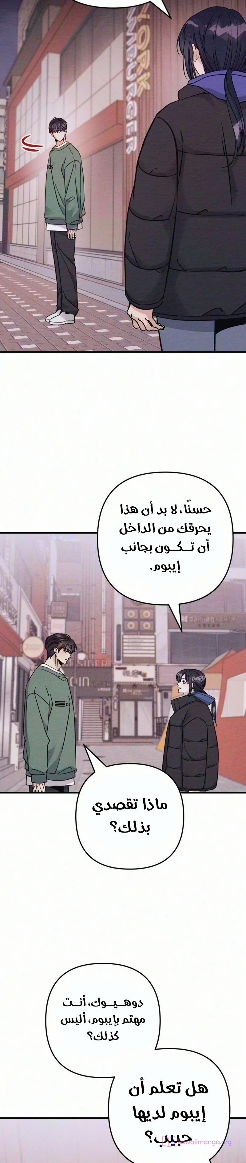 الصفحة 17
