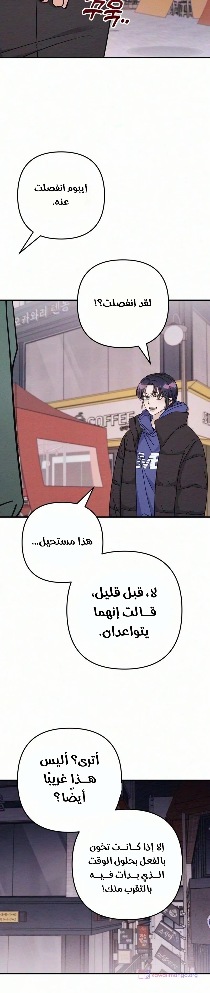 الصفحة 19