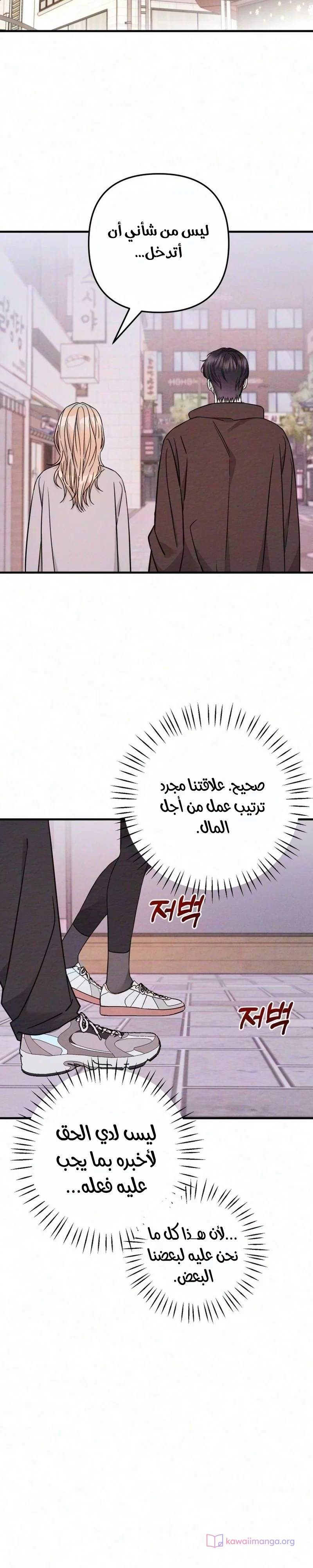 الصفحة 30