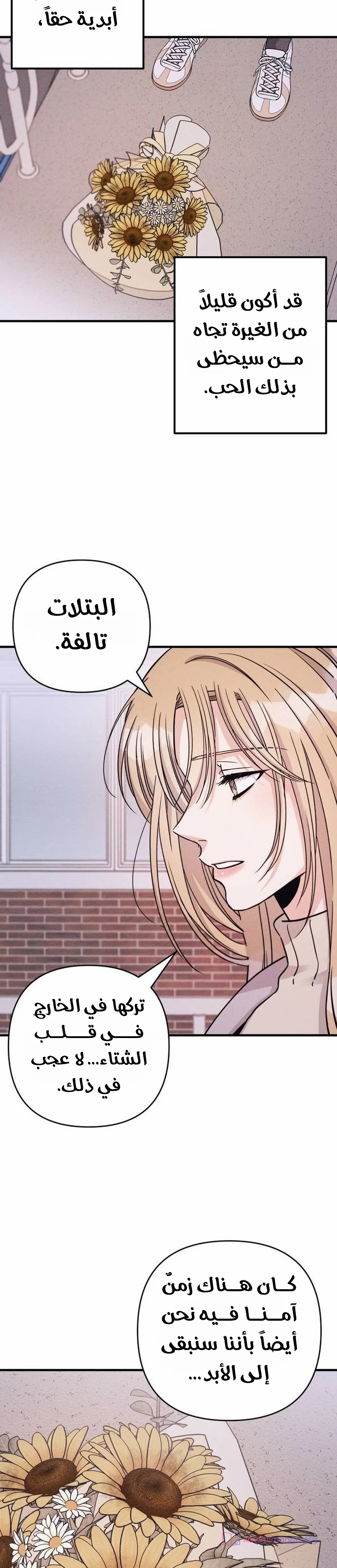 الصفحة 13