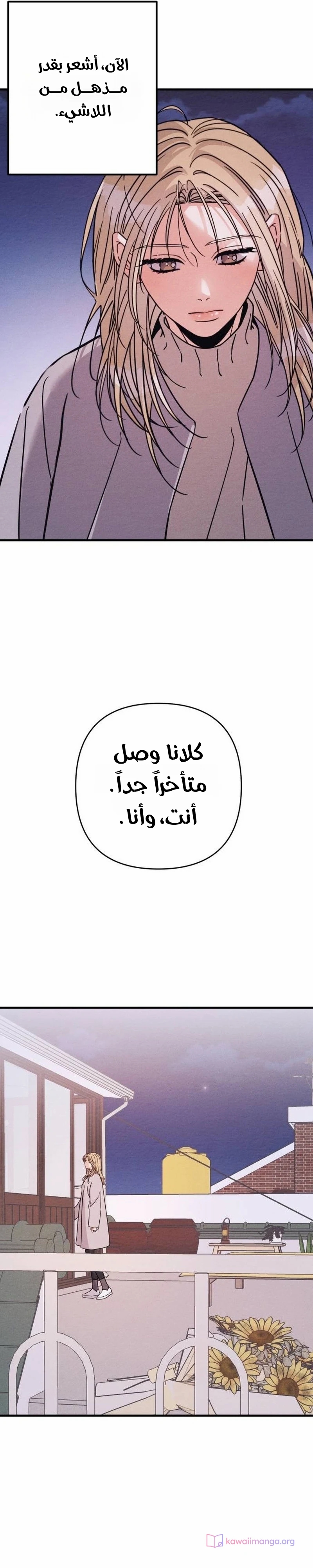 الصفحة 15