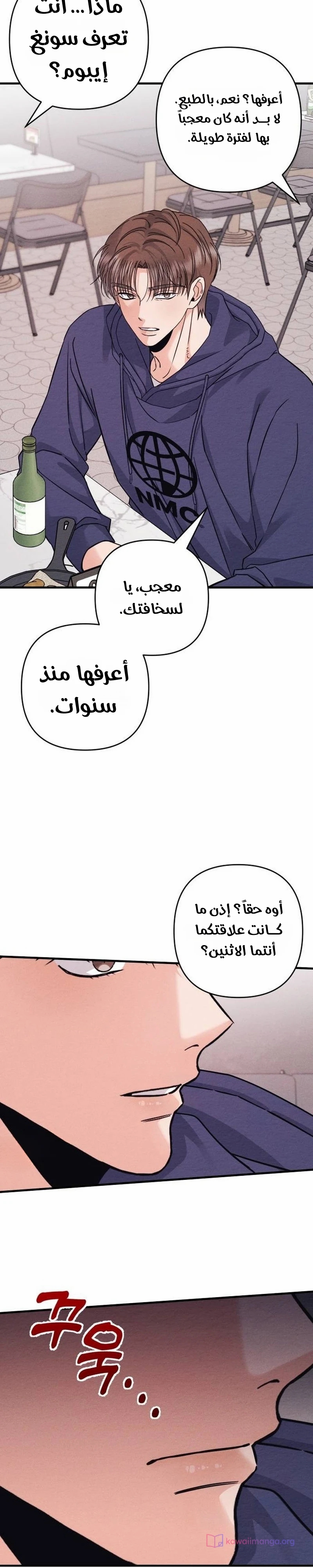 الصفحة 17