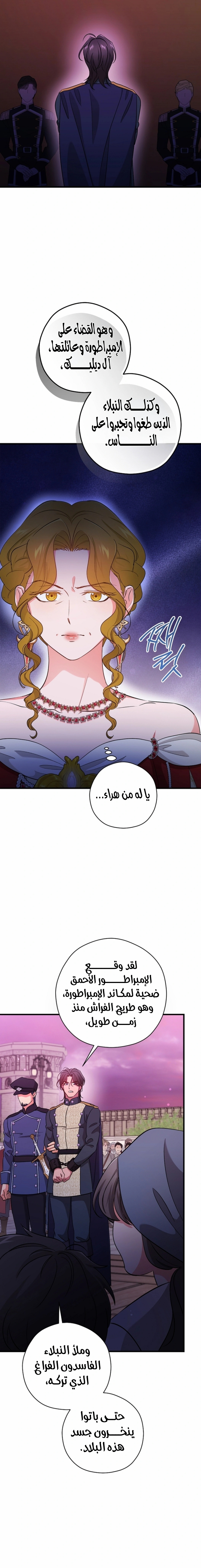 الصفحة 17