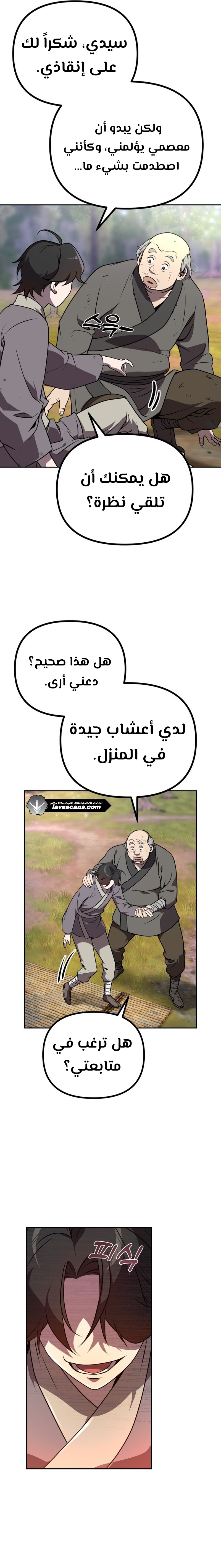 الصفحة 17