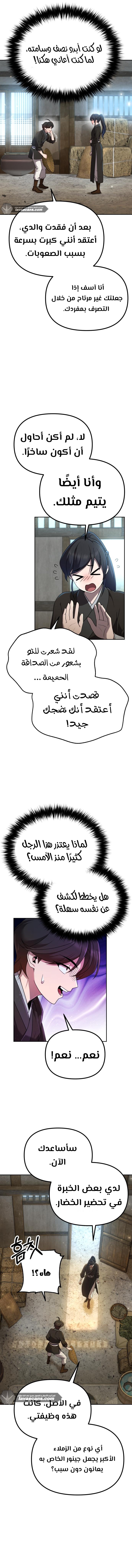 الصفحة 13