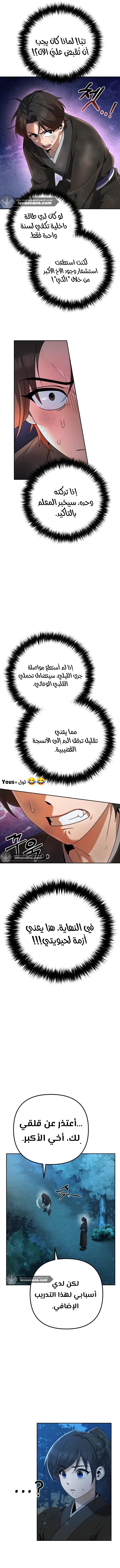 الصفحة 13