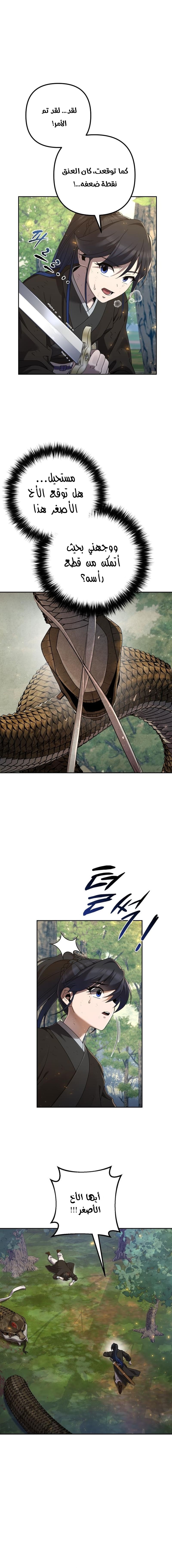 الصفحة 11