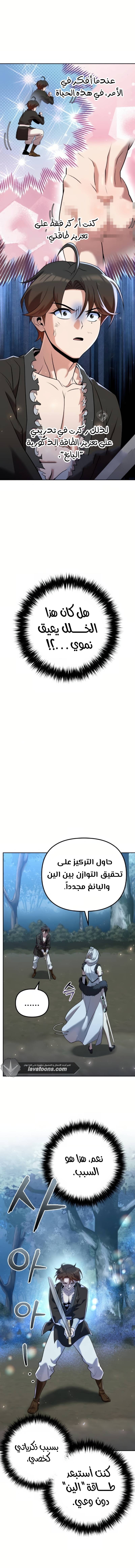 الصفحة 17