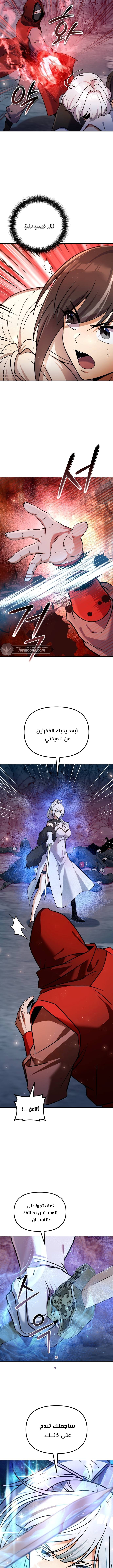 الصفحة 17