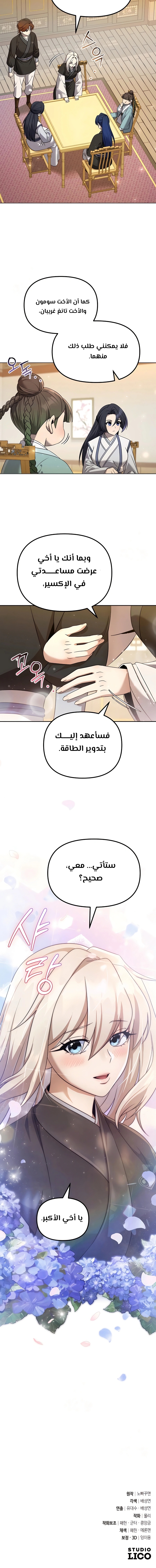 الصفحة 17