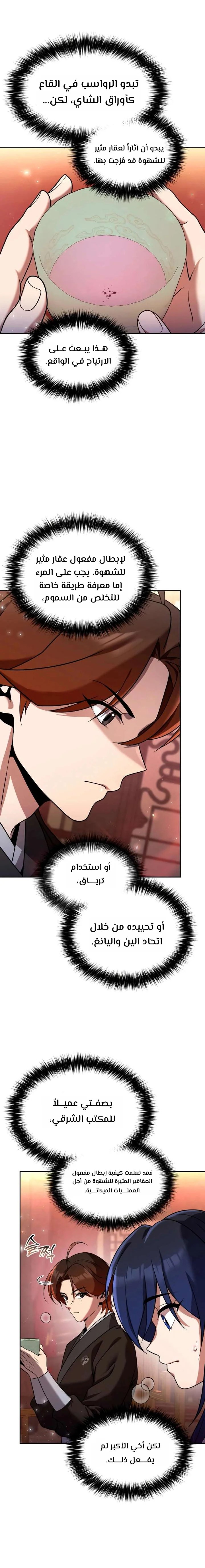 الصفحة 13