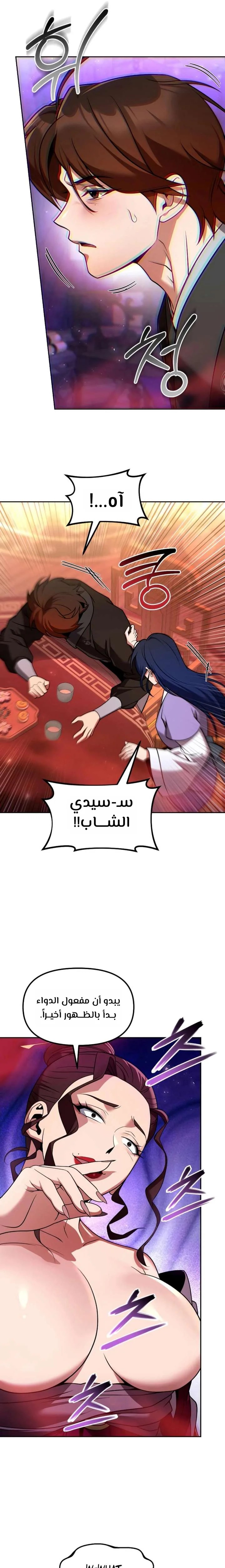 الصفحة 17