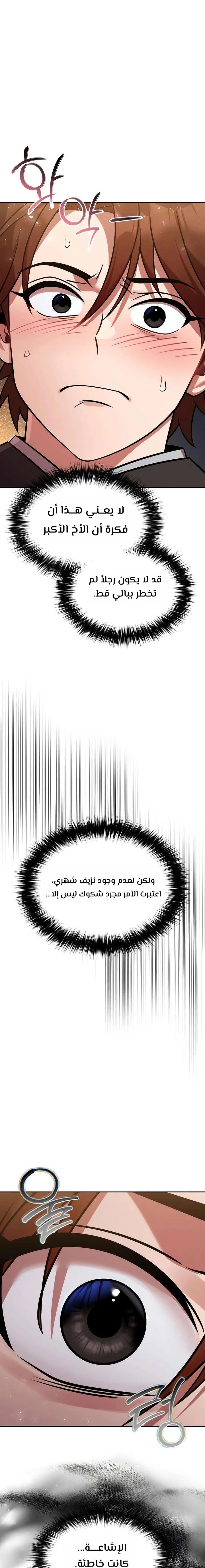 الصفحة 17