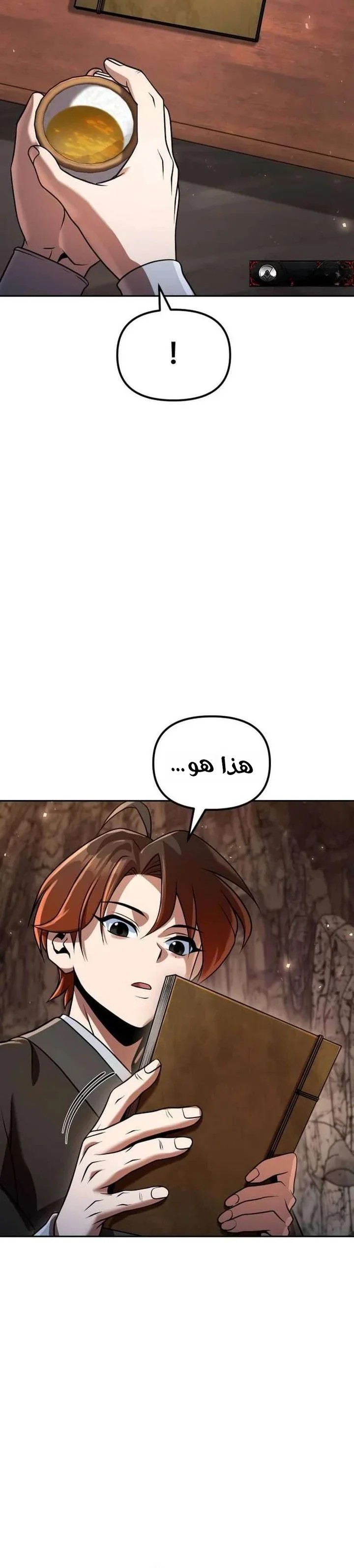 الصفحة 19