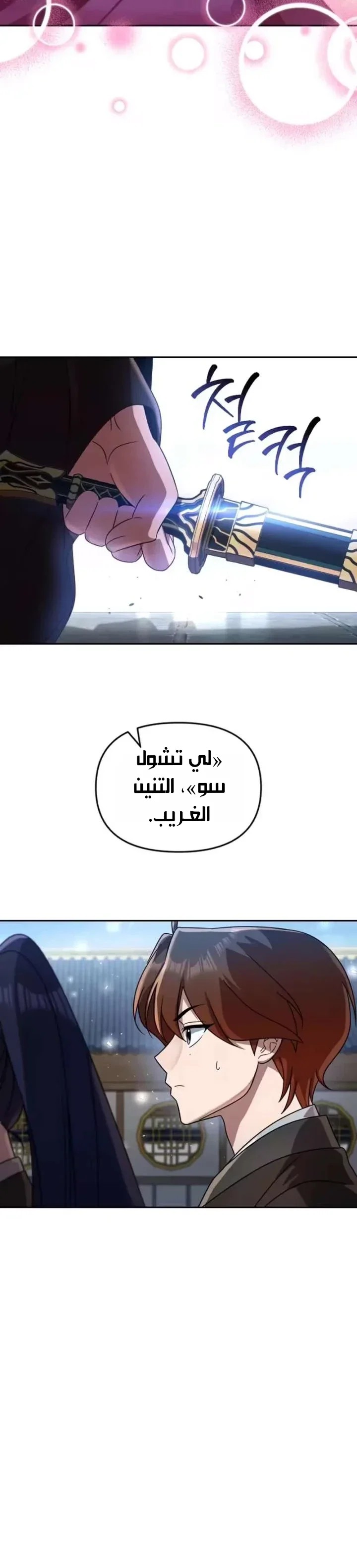 الصفحة 29