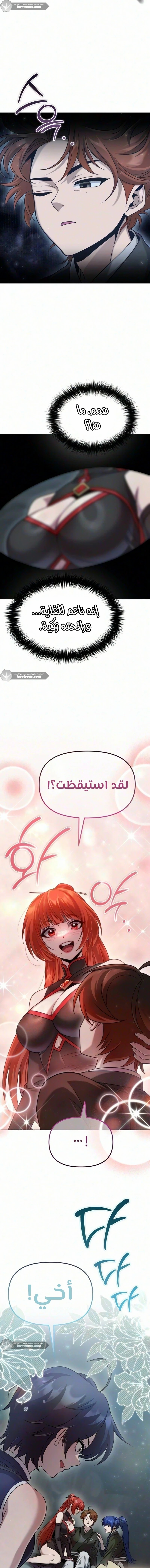 الصفحة 17
